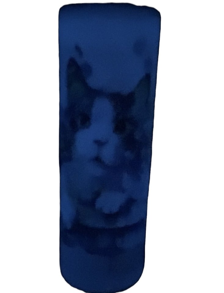 CAT TUMBLER w/LID & STRAW - GLOW IN THE DARK